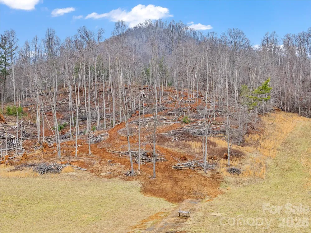 784 Green Young Cemetery Road Bakersville, NC 28705