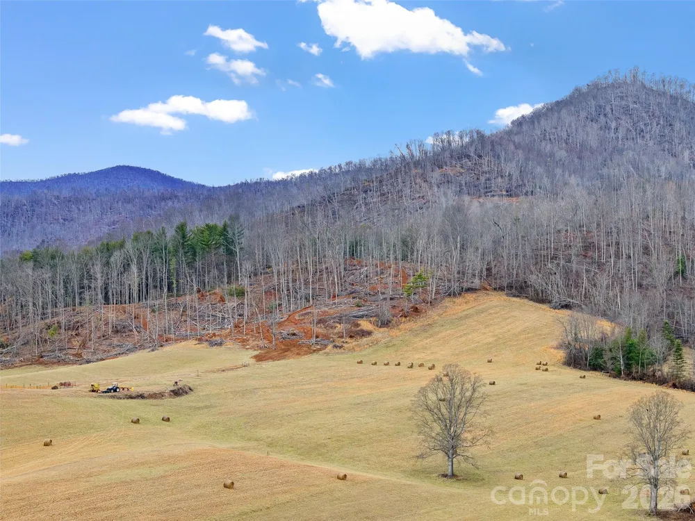 784 Green Young Cemetery Road Bakersville, NC 28705