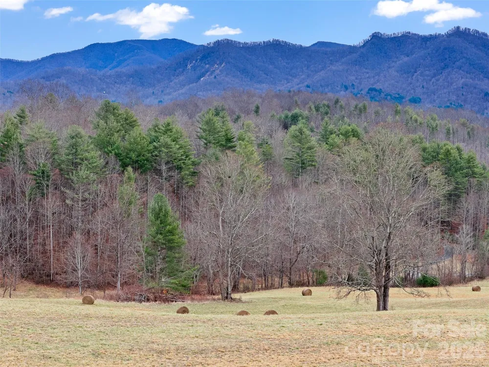 784 Green Young Cemetery Road Bakersville, NC 28705