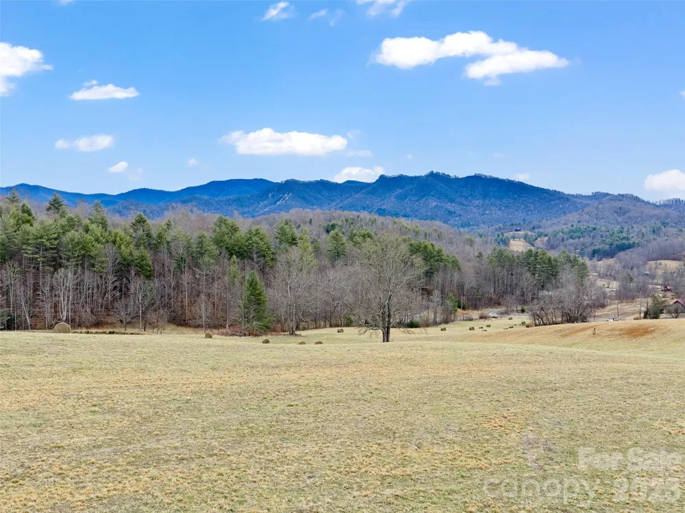 784 Green Young Cemetery Road Bakersville, NC 28705