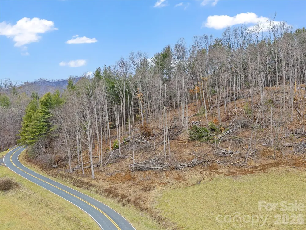 784 Green Young Cemetery Road Bakersville, NC 28705
