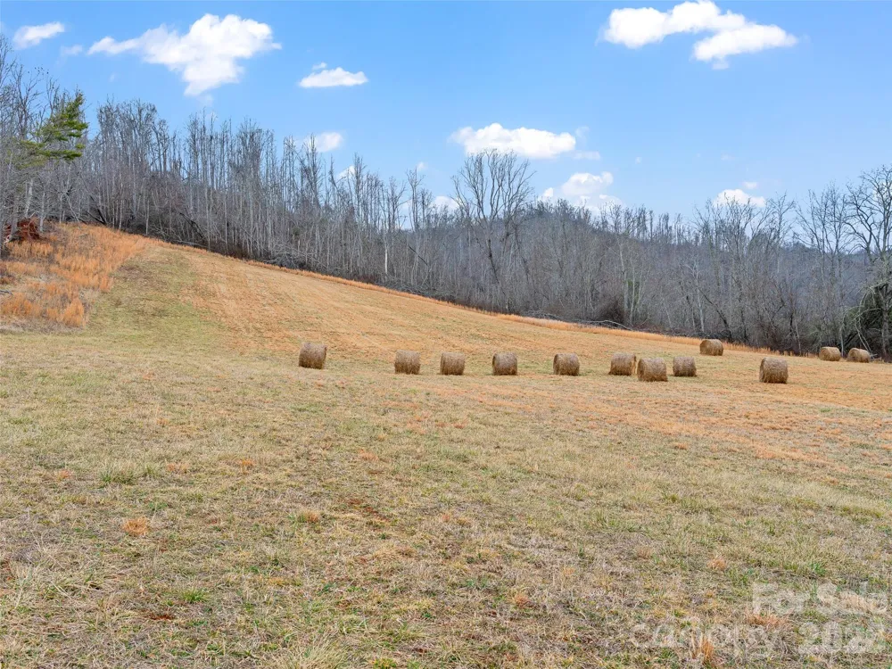 784 Green Young Cemetery Road Bakersville, NC 28705