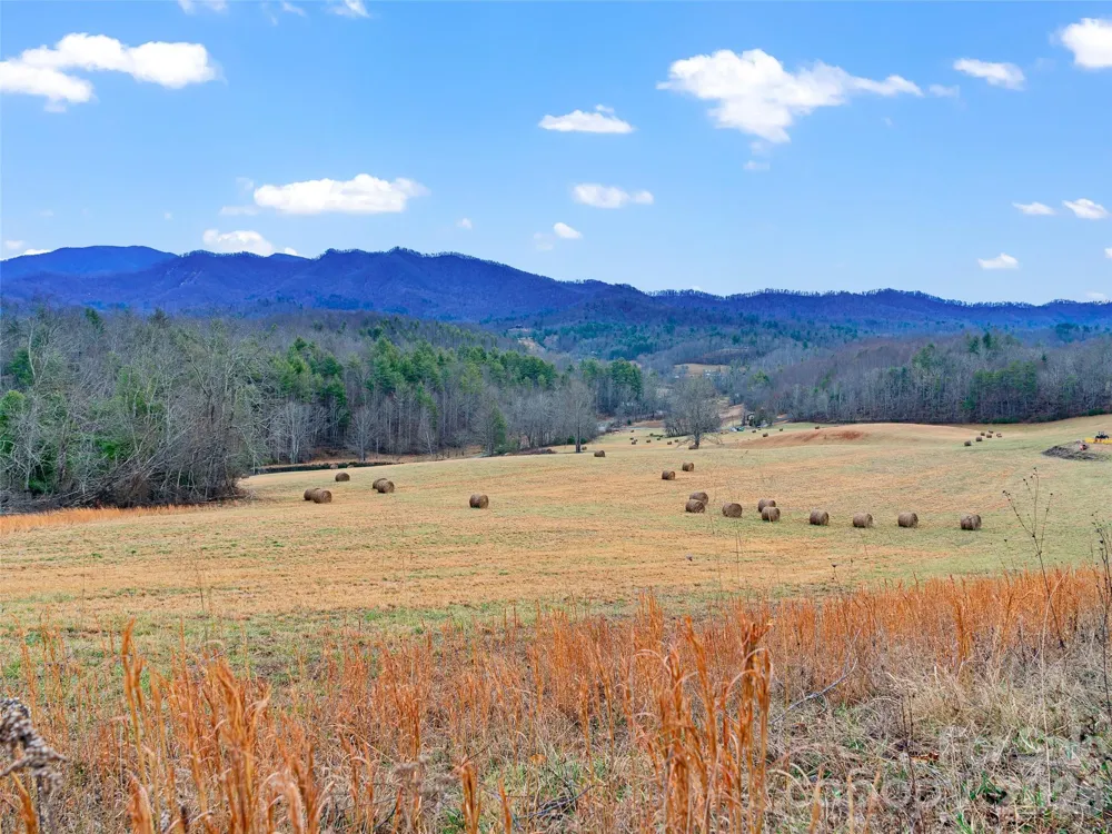 784 Green Young Cemetery Road Bakersville, NC 28705