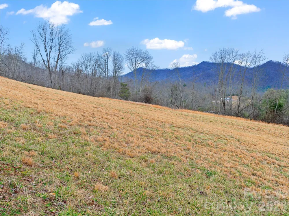 784 Green Young Cemetery Road Bakersville, NC 28705