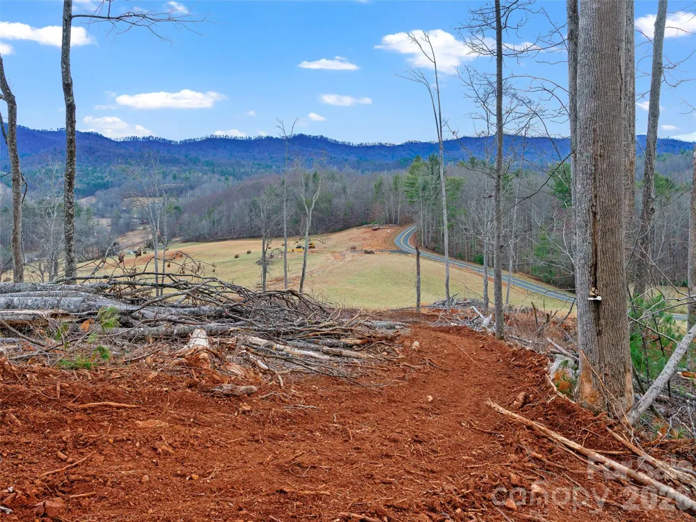 784 Green Young Cemetery Road Bakersville, NC 28705