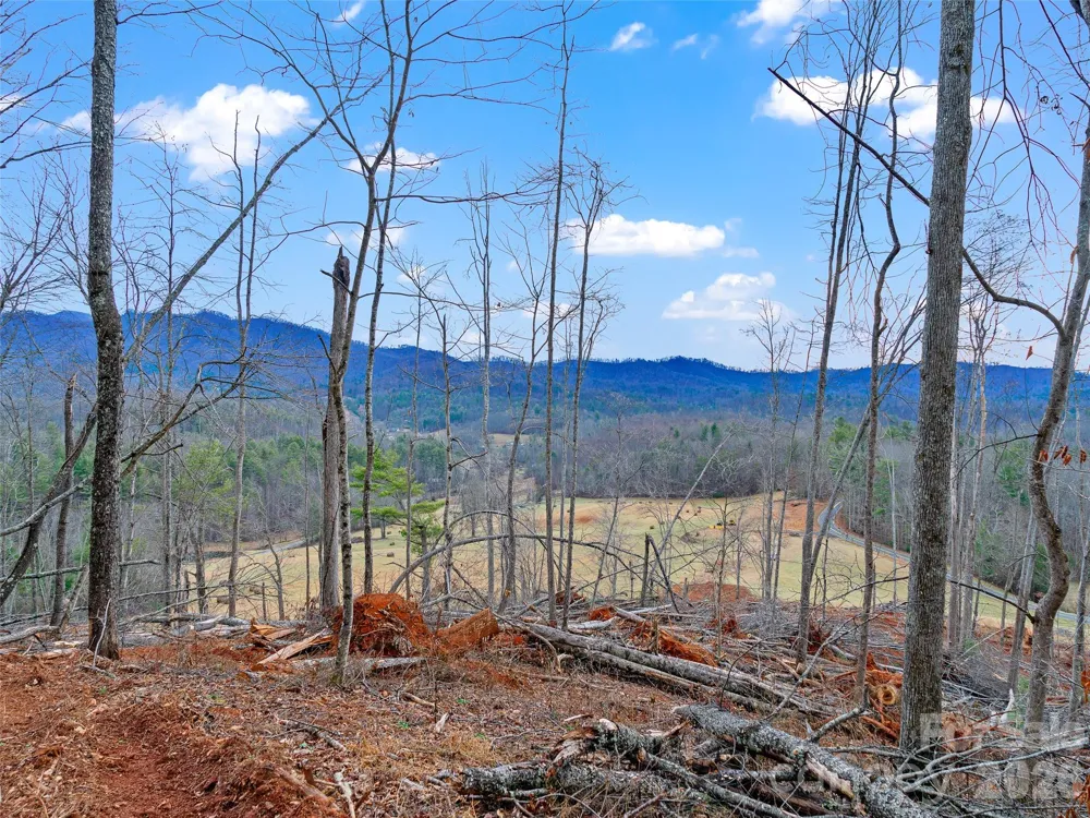 784 Green Young Cemetery Road Bakersville, NC 28705