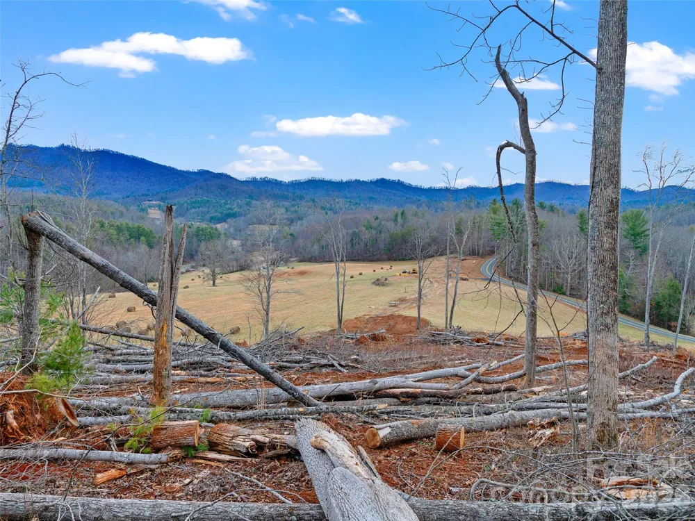 784 Green Young Cemetery Road Bakersville, NC 28705