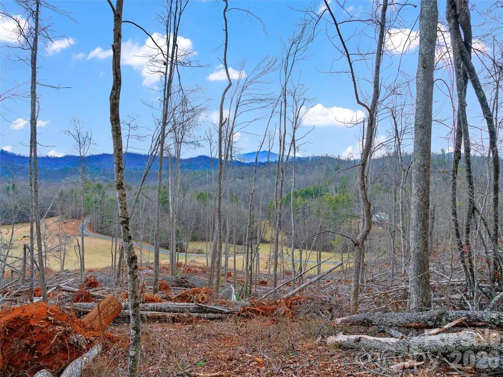 784 Green Young Cemetery Road Bakersville, NC 28705