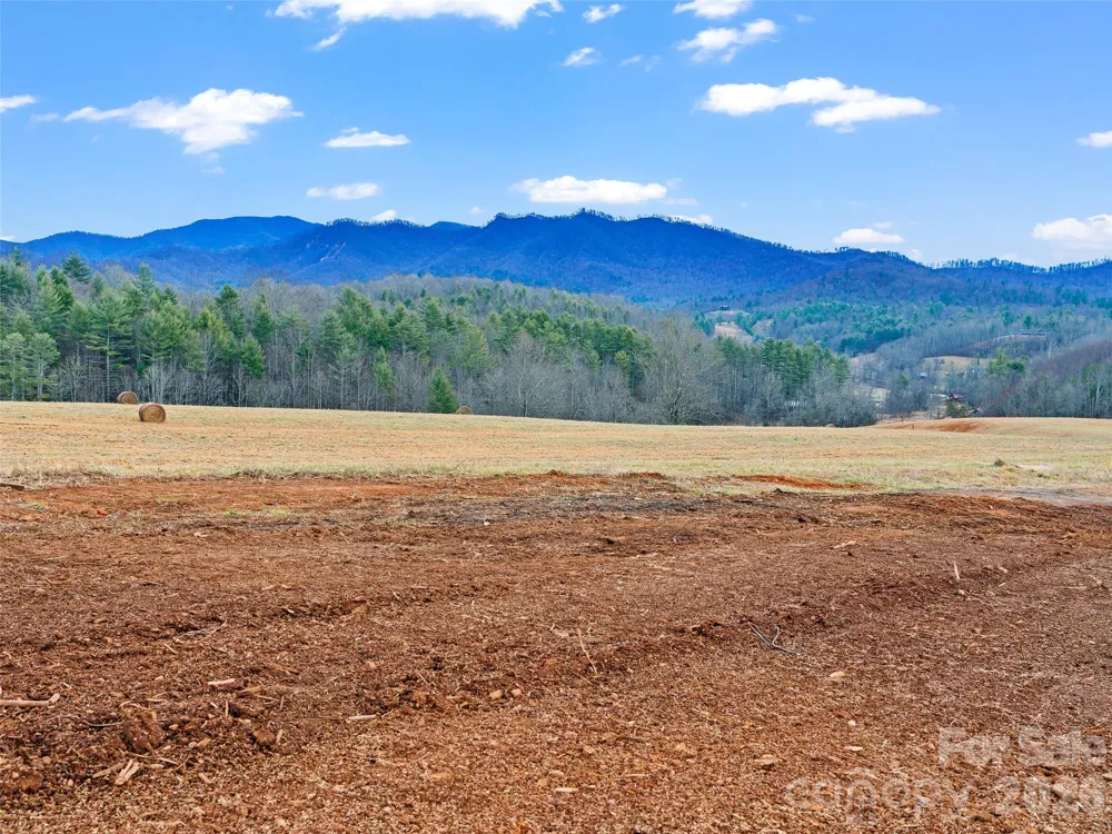 784 Green Young Cemetery Road Bakersville, NC 28705
