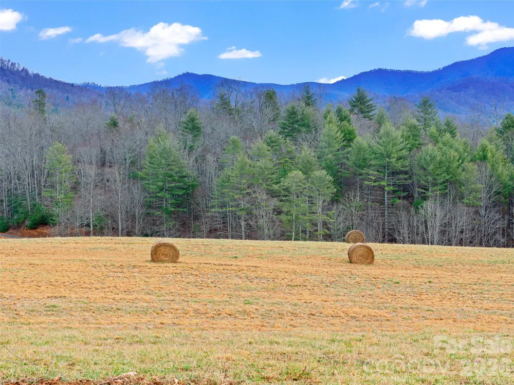 784 Green Young Cemetery Road Bakersville, NC 28705
