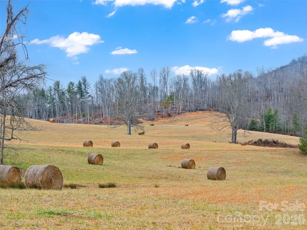 784 Green Young Cemetery Road Bakersville, NC 28705