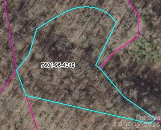 TR I Barkers Creek Road Whittier, NC 28789