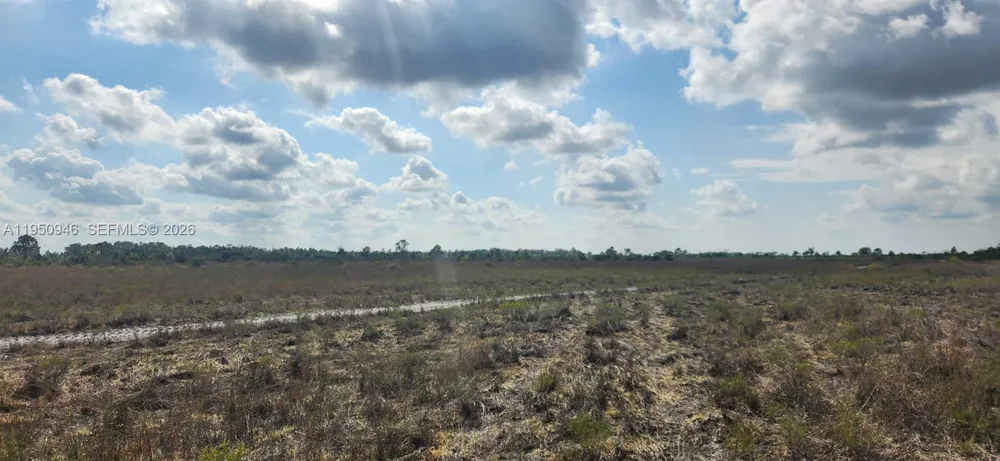 48345 Bermont Rd Punta Gorda, FL 33982