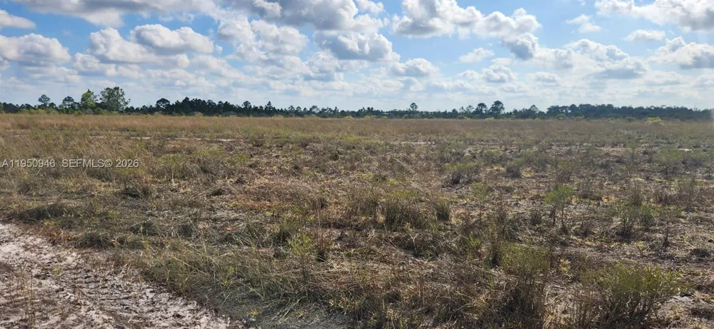 48345 Bermont Rd Punta Gorda, FL 33982