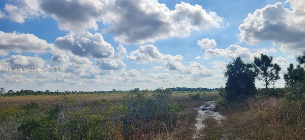48345 Bermont Rd Punta Gorda, FL 33982