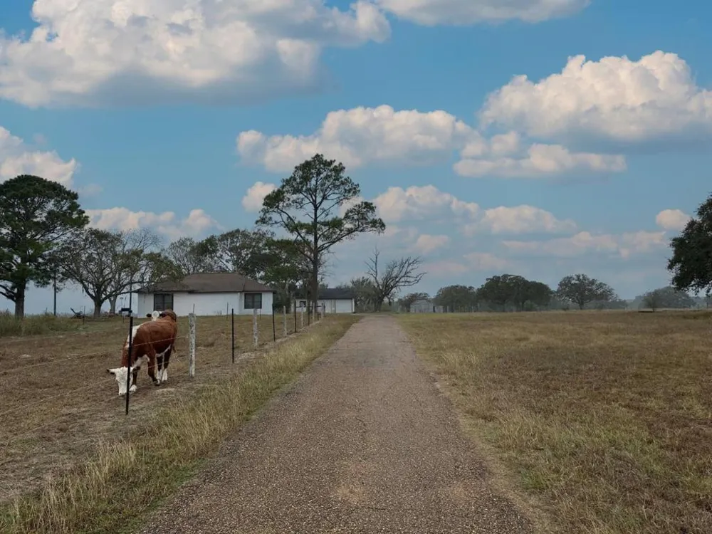 1696 E Fm 884 Yorktown, TX 78164