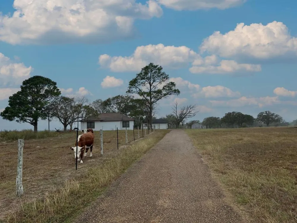1696 E Fm 884 Yorktown, TX 78164