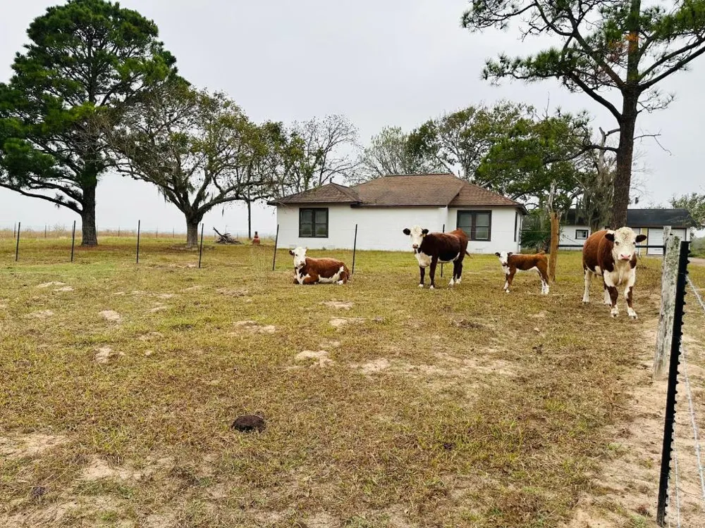 1696 E Fm 884 Yorktown, TX 78164