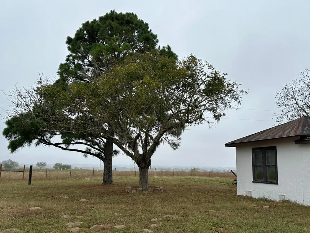 1696 E Fm 884 Yorktown, TX 78164