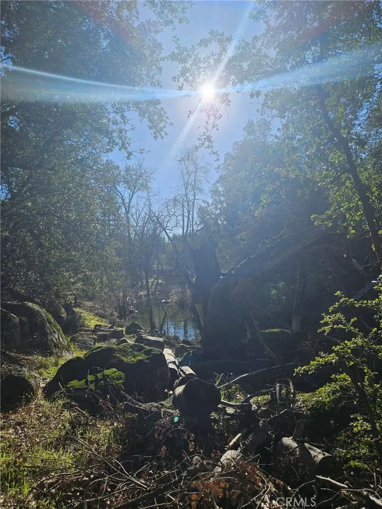 59366 Road 225 North Fork, CA 93643