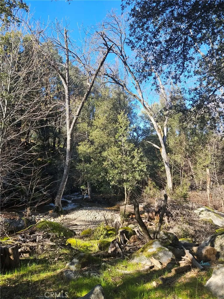 59366 Road 225 North Fork, CA 93643