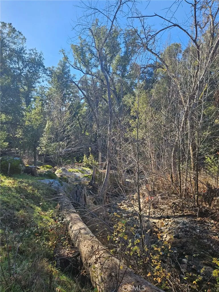 59366 Road 225 North Fork, CA 93643