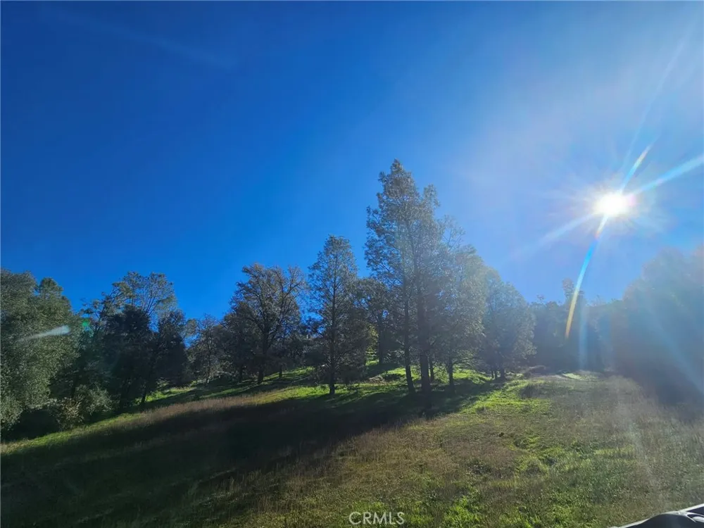 59366 Road 225 North Fork, CA 93643