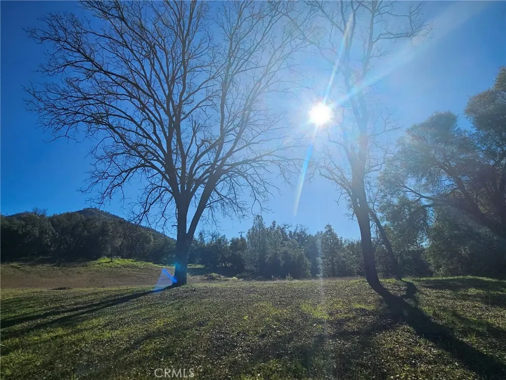 59366 Road 225 North Fork, CA 93643