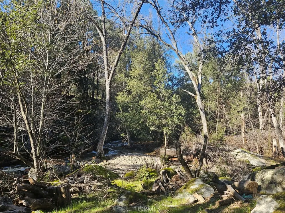 59366 Road 225 North Fork, CA 93643
