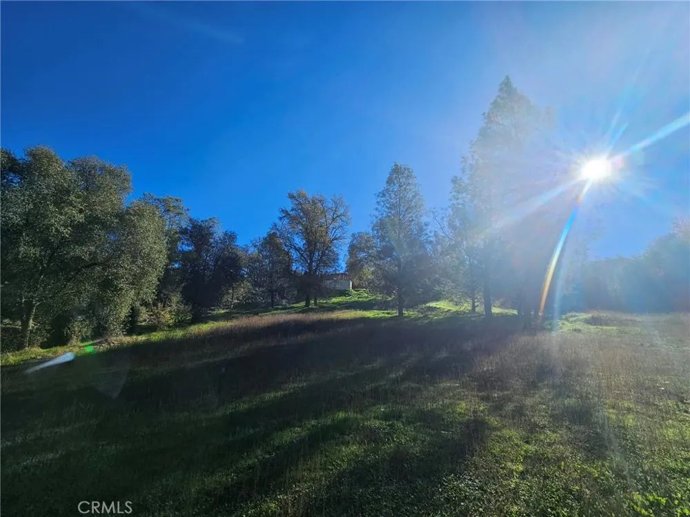 59366 Road 225 North Fork, CA 93643