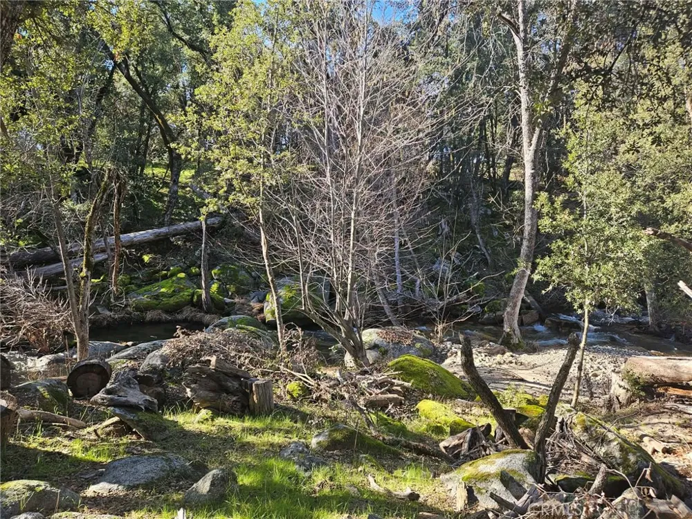 59366 Road 225 North Fork, CA 93643
