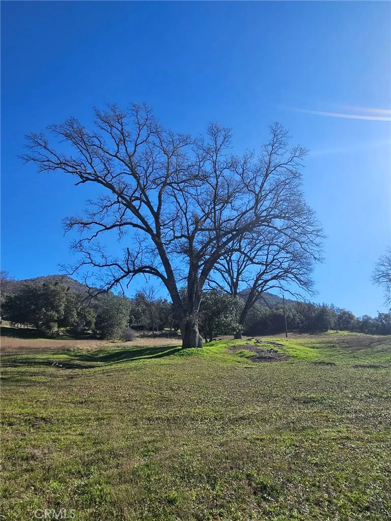 59366 Road 225 North Fork, CA 93643