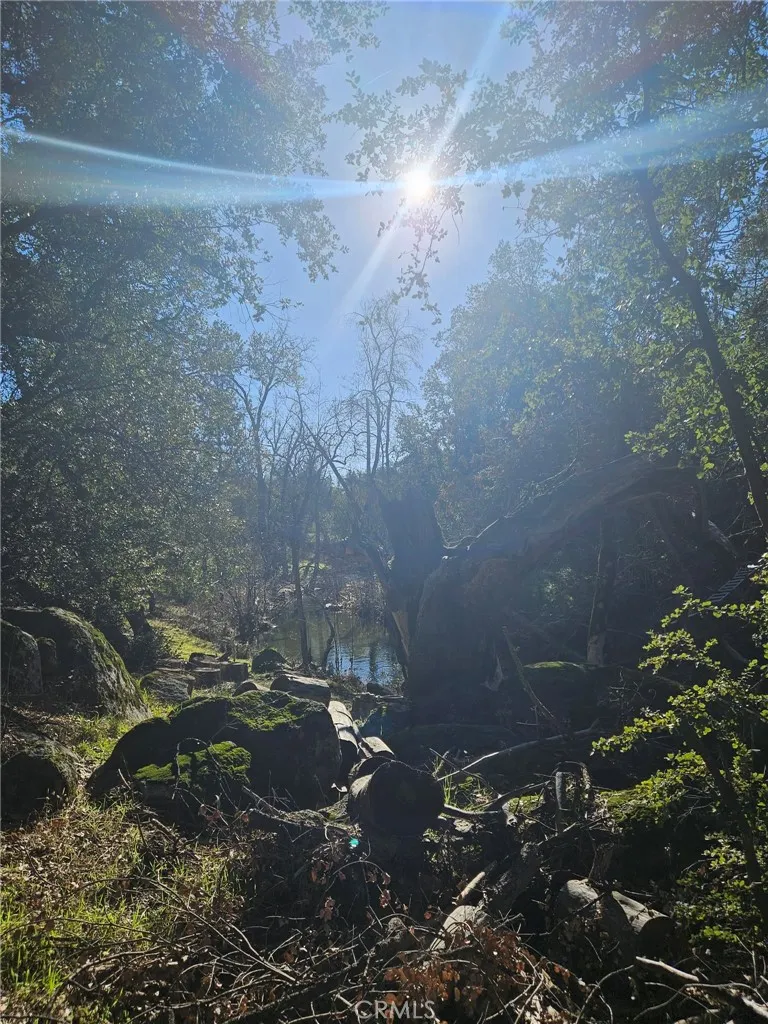 59366 Road 225 North Fork, CA 93643