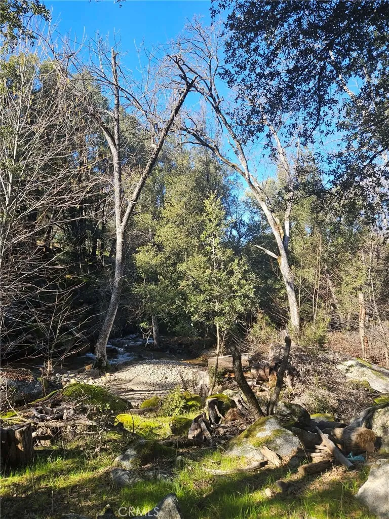 59366 Road 225 North Fork, CA 93643