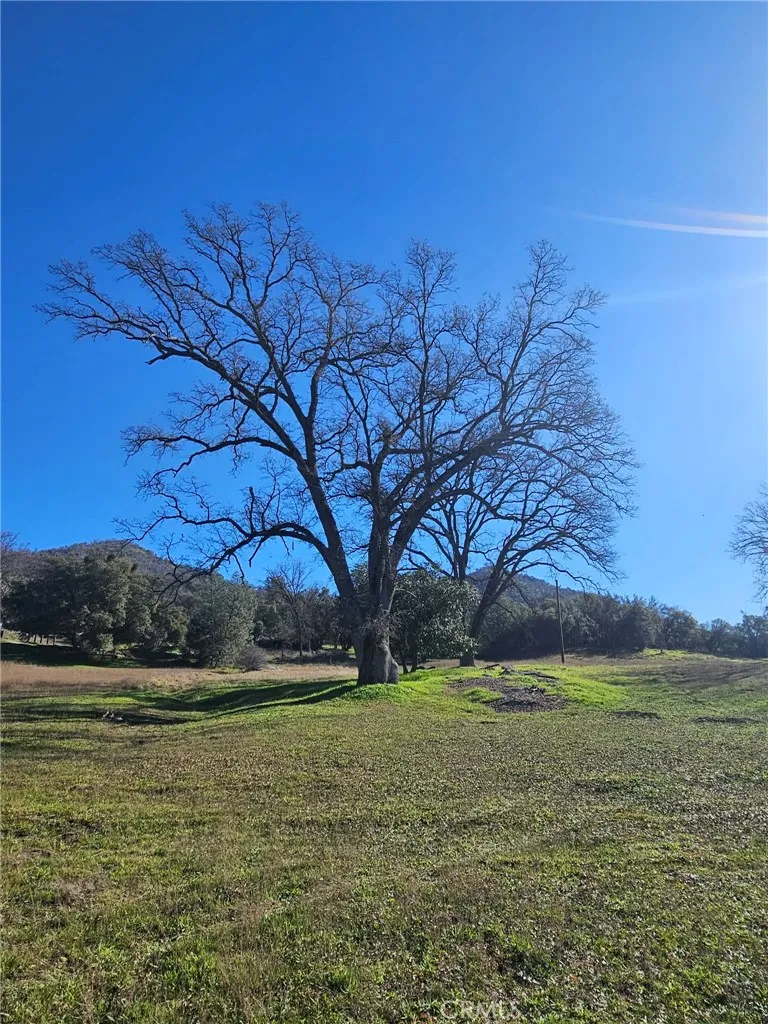 59366 Road 225 North Fork, CA 93643