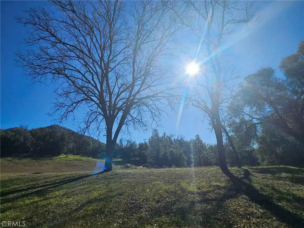 59366 Road 225 North Fork, CA 93643