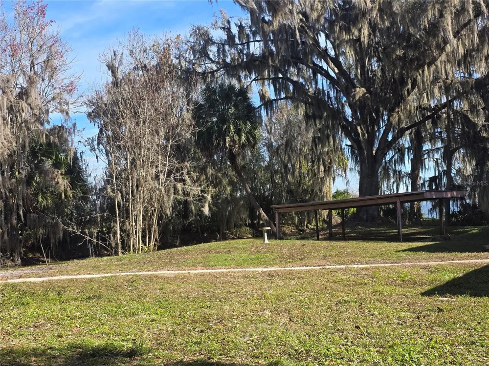 2346 CR 401 Lake Panasoffkee, FL 33538