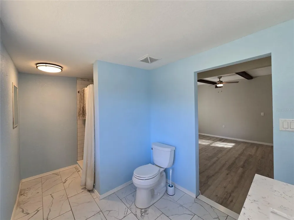 2346 CR 401 Lake Panasoffkee, FL 33538