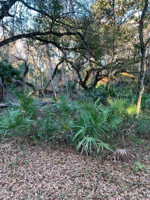 49 FENNY BOSK TRAIL