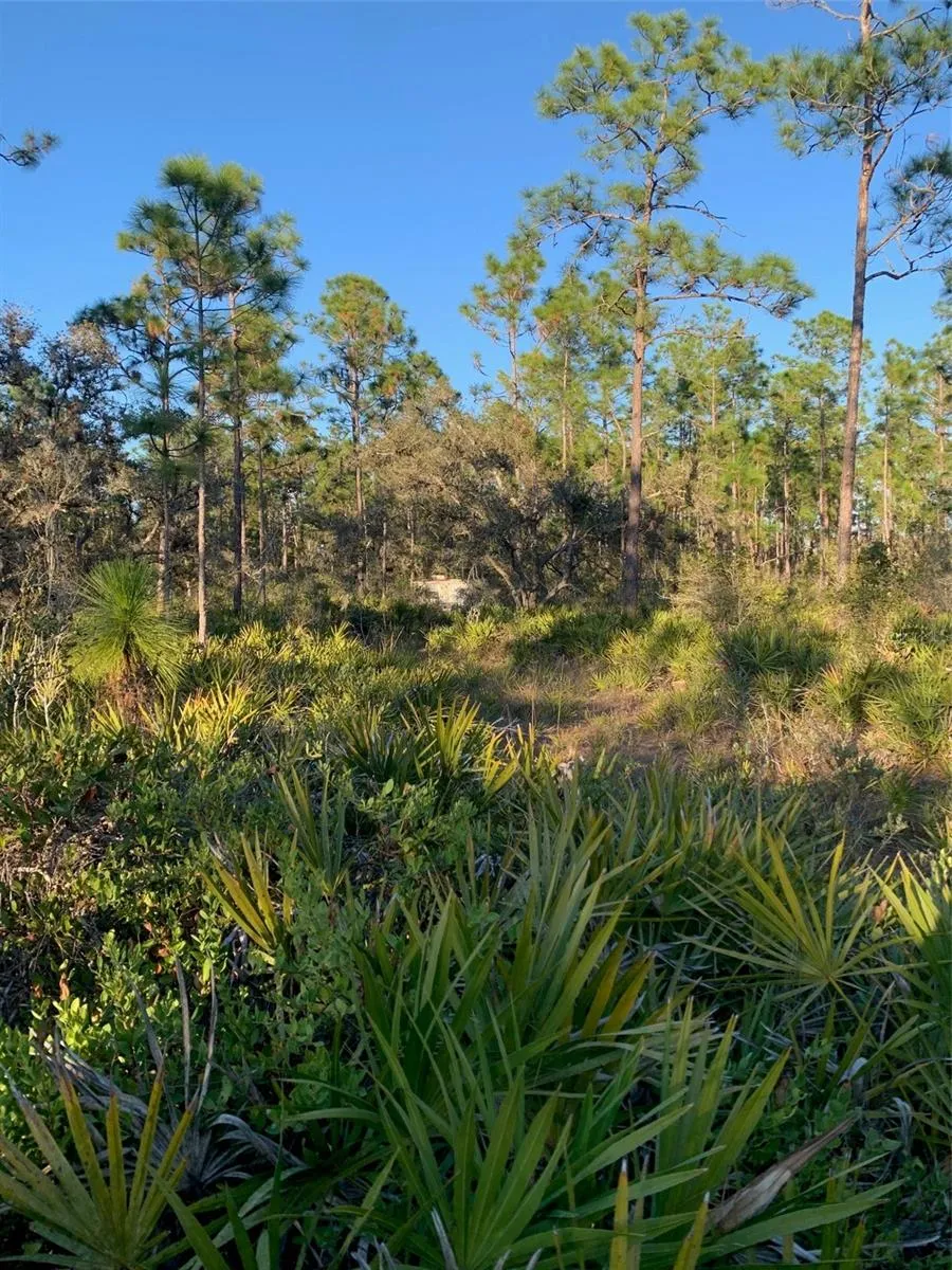 49 FENNY BOSK TRAIL Venus, FL 33960