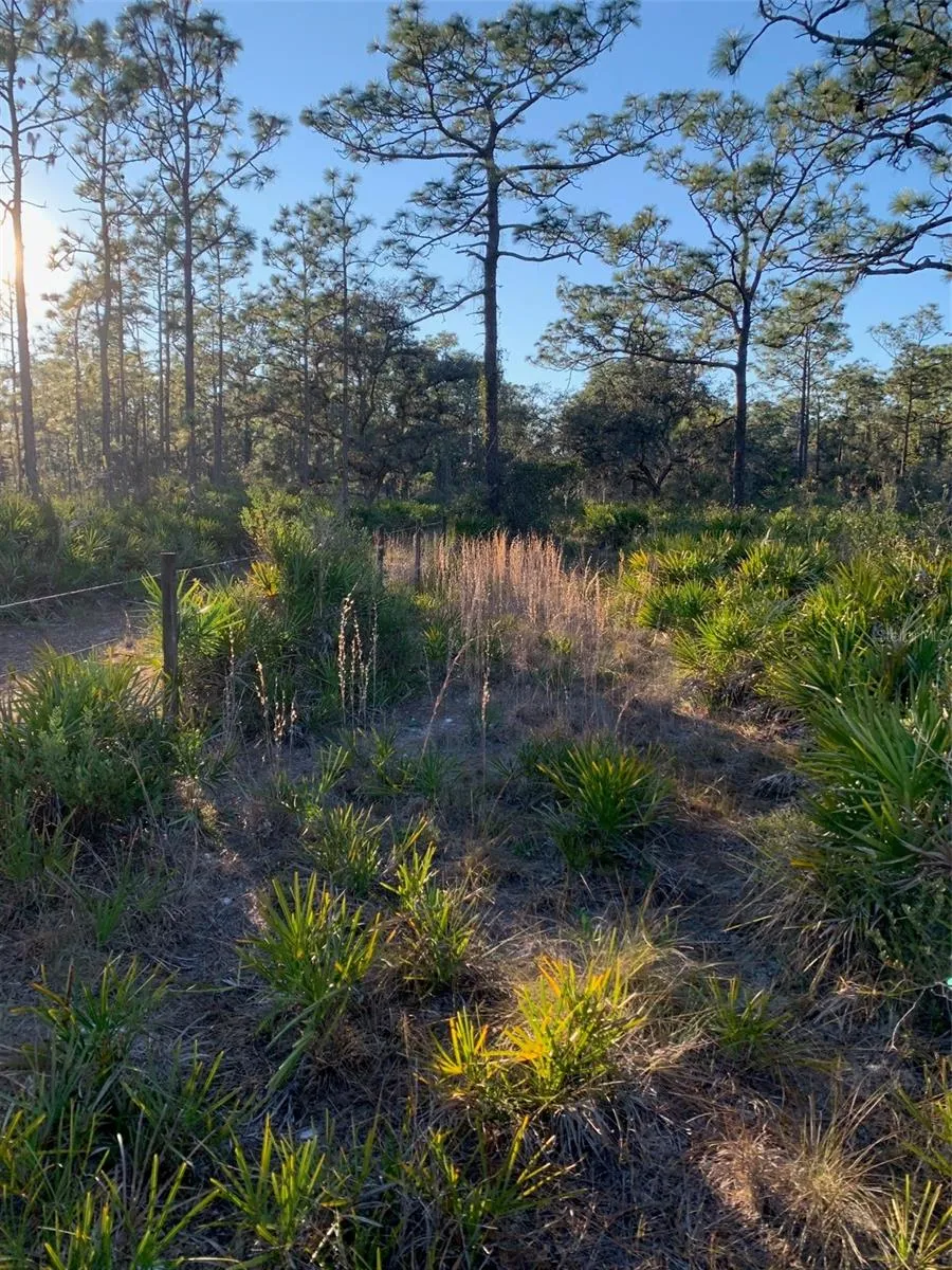 49 FENNY BOSK TRAIL Venus, FL 33960