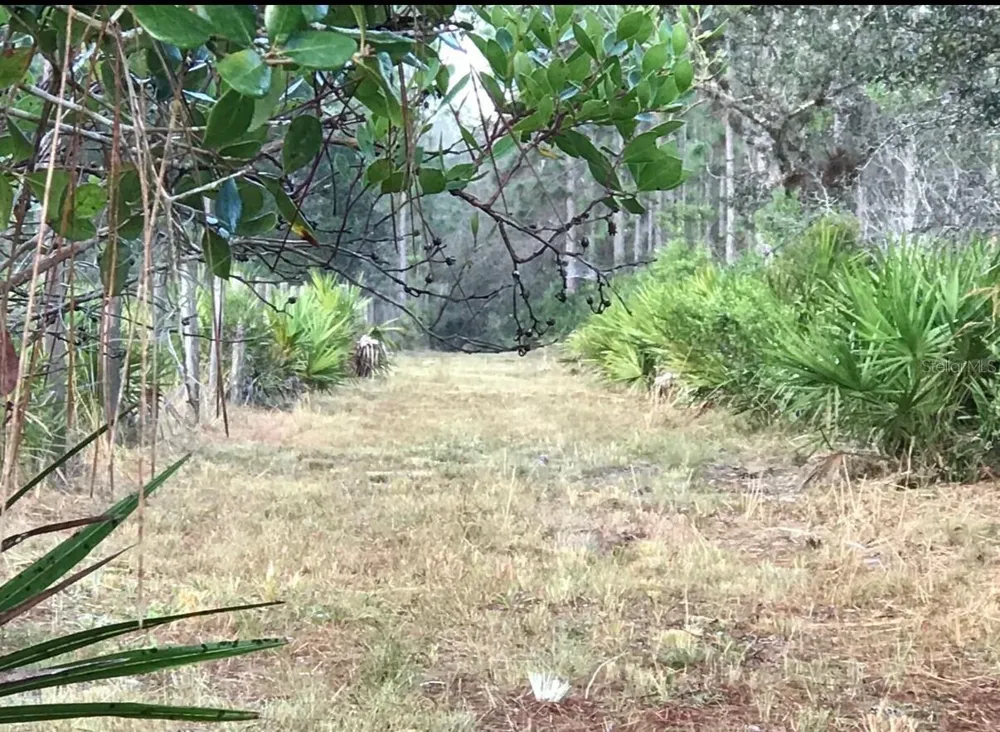 49 FENNY BOSK TRAIL Venus, FL 33960