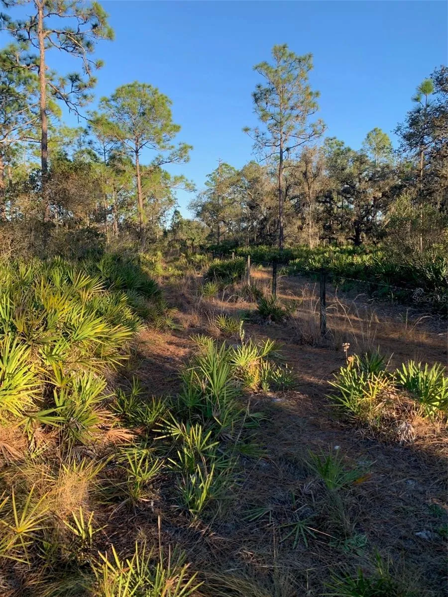 49 FENNY BOSK TRAIL Venus, FL 33960