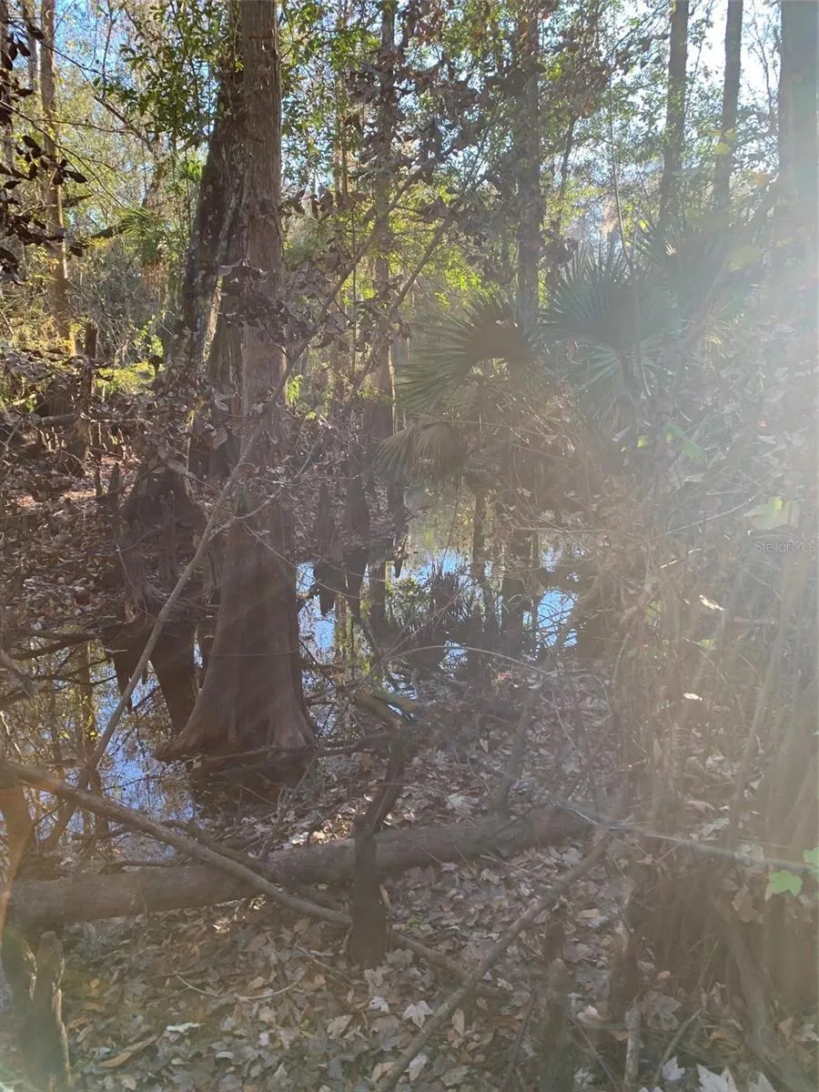 49 FENNY BOSK TRAIL Venus, FL 33960
