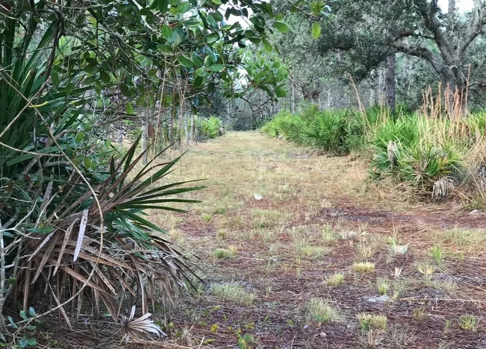 49 FENNY BOSK TRAIL Venus, FL 33960