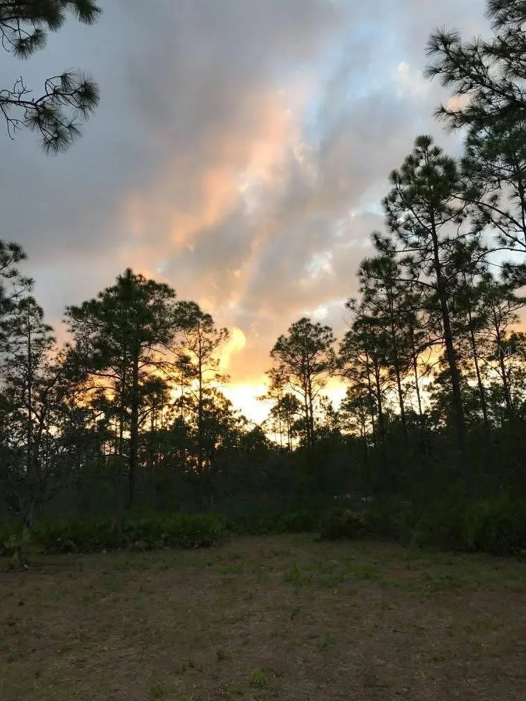 49 FENNY BOSK TRAIL Venus, FL 33960