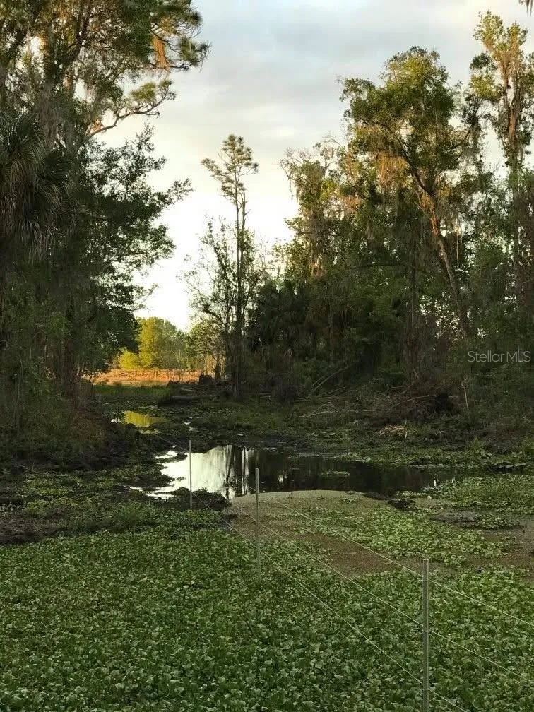 49 FENNY BOSK TRAIL Venus, FL 33960