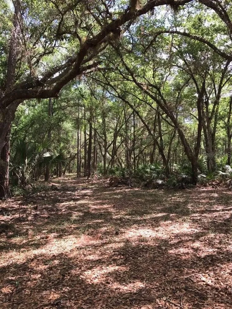 49 FENNY BOSK TRAIL Venus, FL 33960