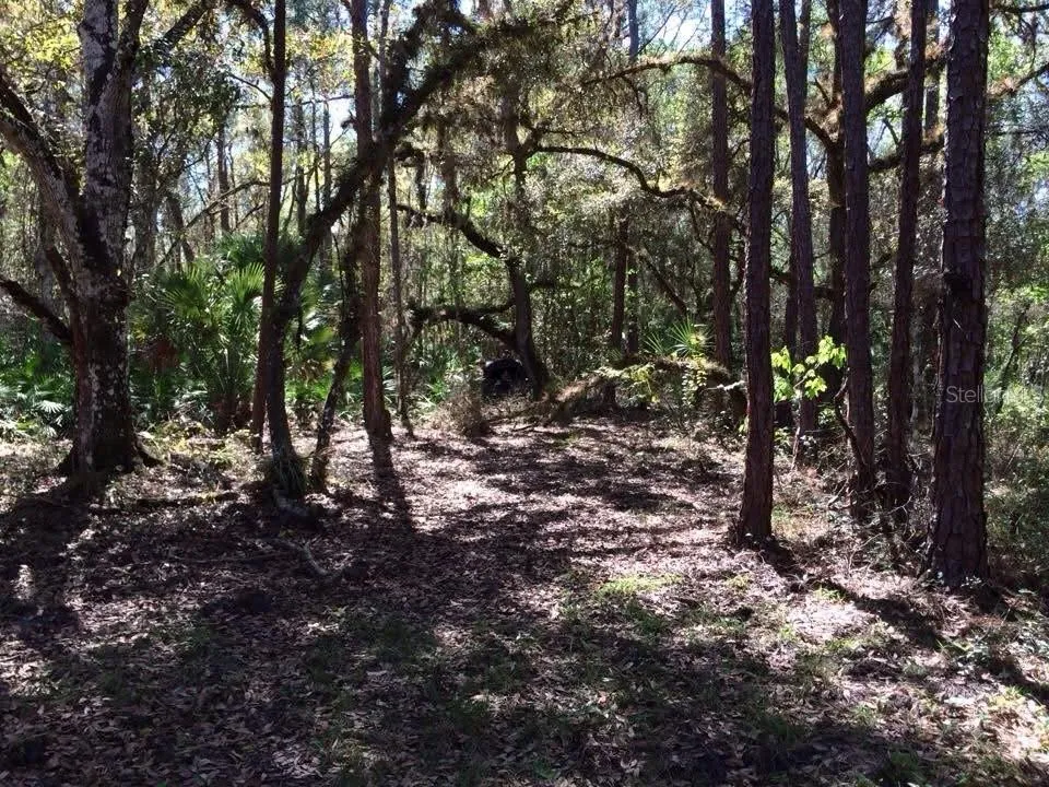 49 FENNY BOSK TRAIL Venus, FL 33960