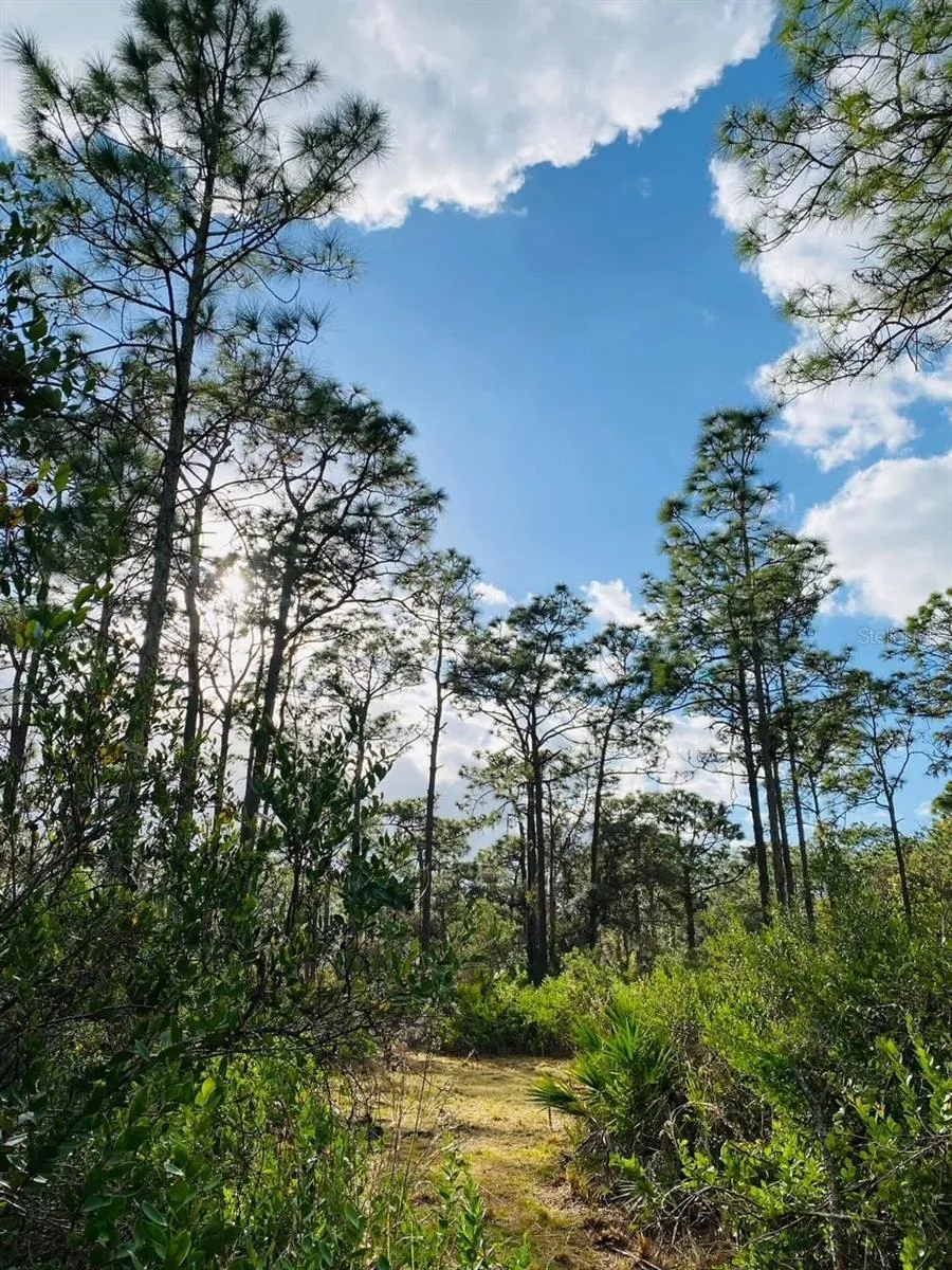 49 FENNY BOSK TRAIL Venus, FL 33960